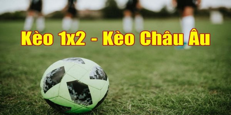 Kèo Châu Âu - Khám Phá Tỷ Lệ Cược Thu Hút Thành Viên