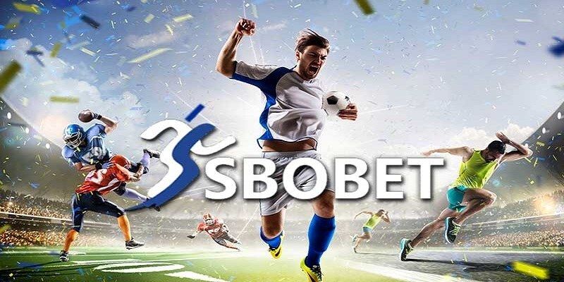 Sbobet Kubet77 - Sảnh Cược Chất Lượng Uy Tín Hàng Đầu Hiện Nay