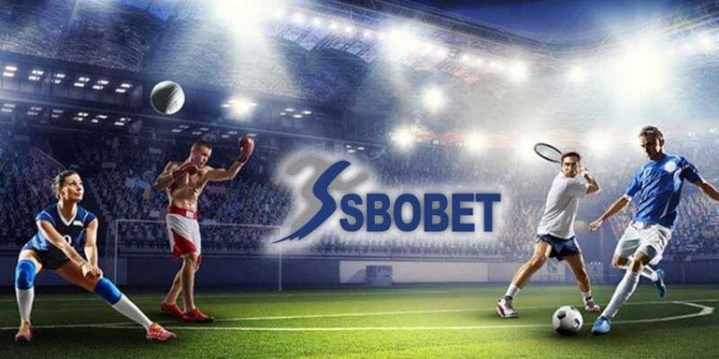 Sảnh cá cược Sbobet Kubet77 sở hữu rất nhiều ưu điểm nổi bật